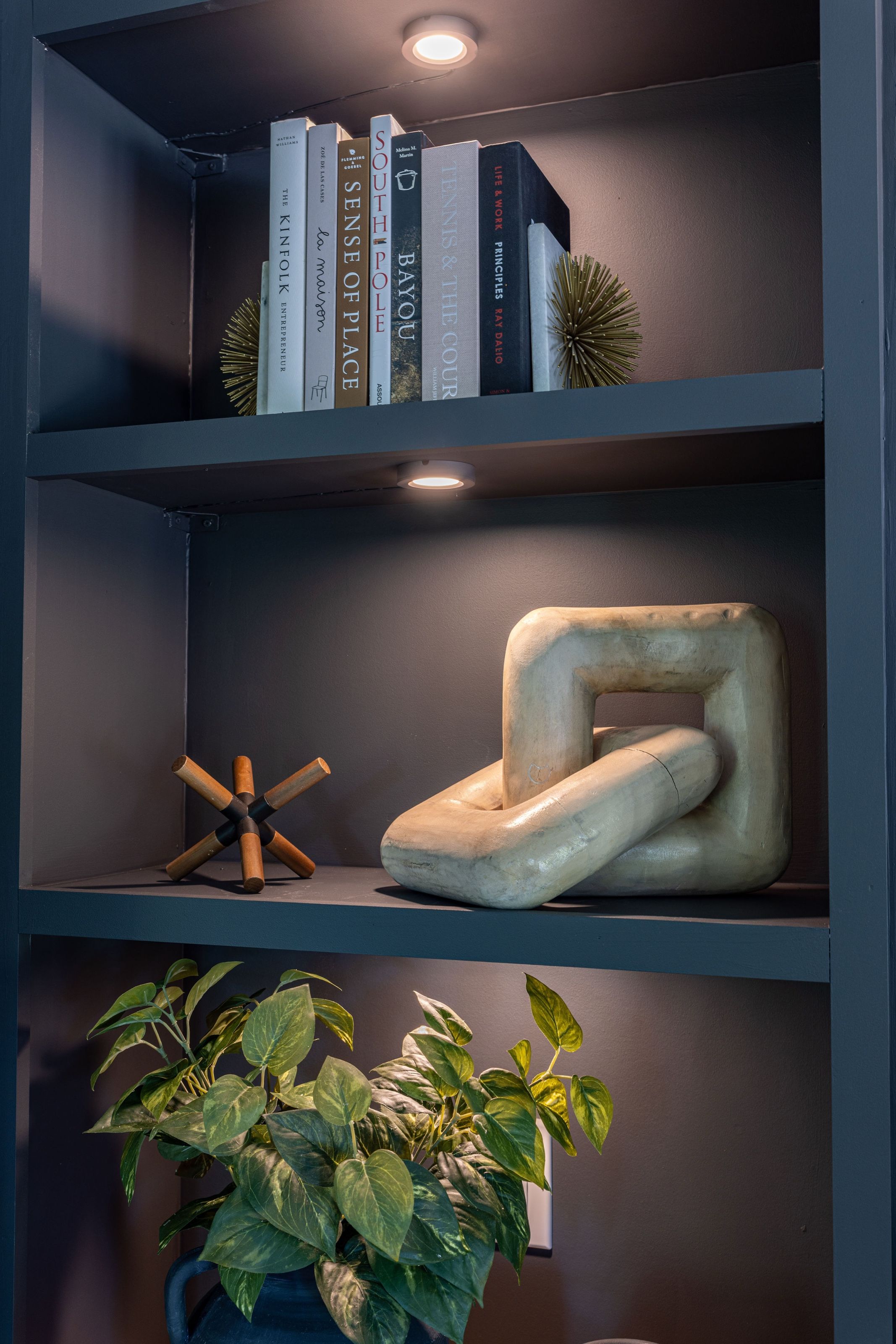 Office shelving with books, a light wood sculpture, and trailing greenery.